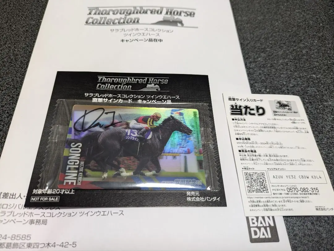 2026年最新】池添謙一サインの人気アイテム - メルカリ