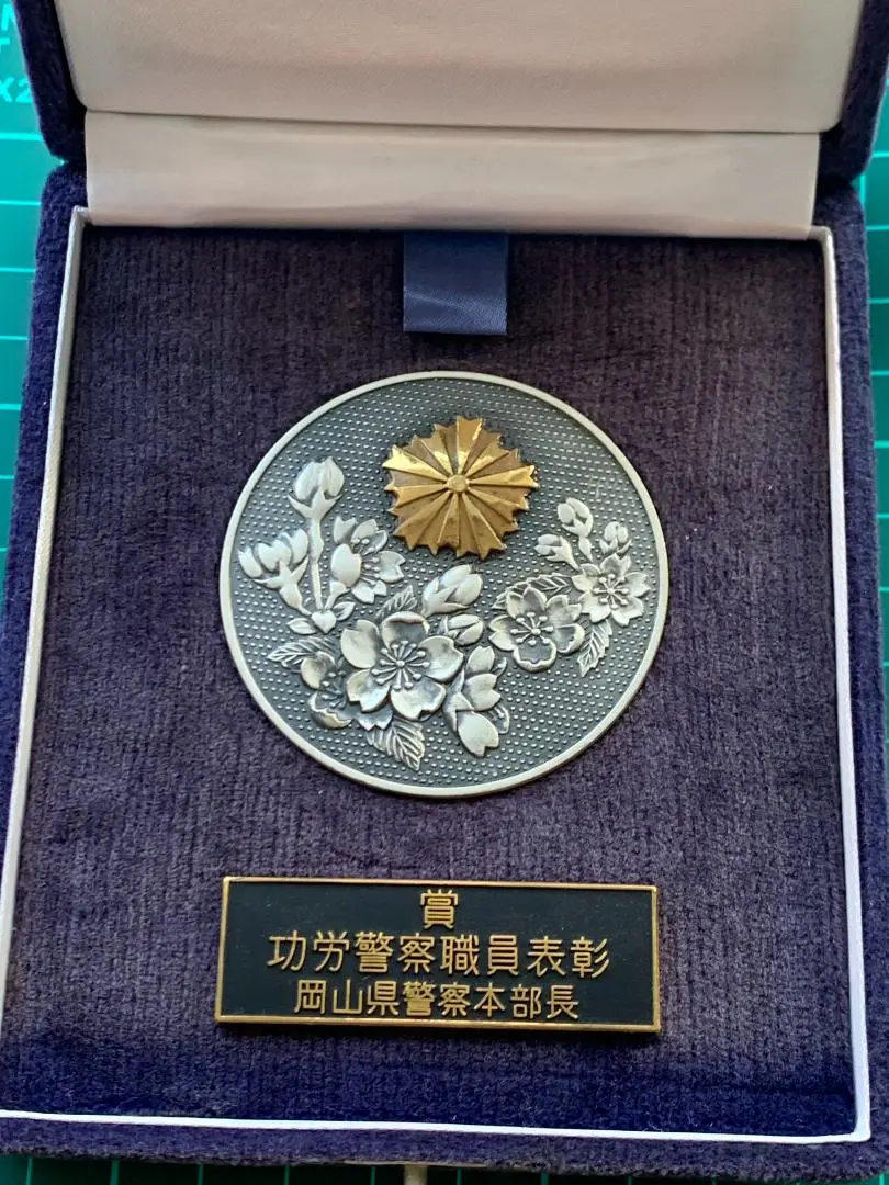 m83355100000_1.jpg?1699252836