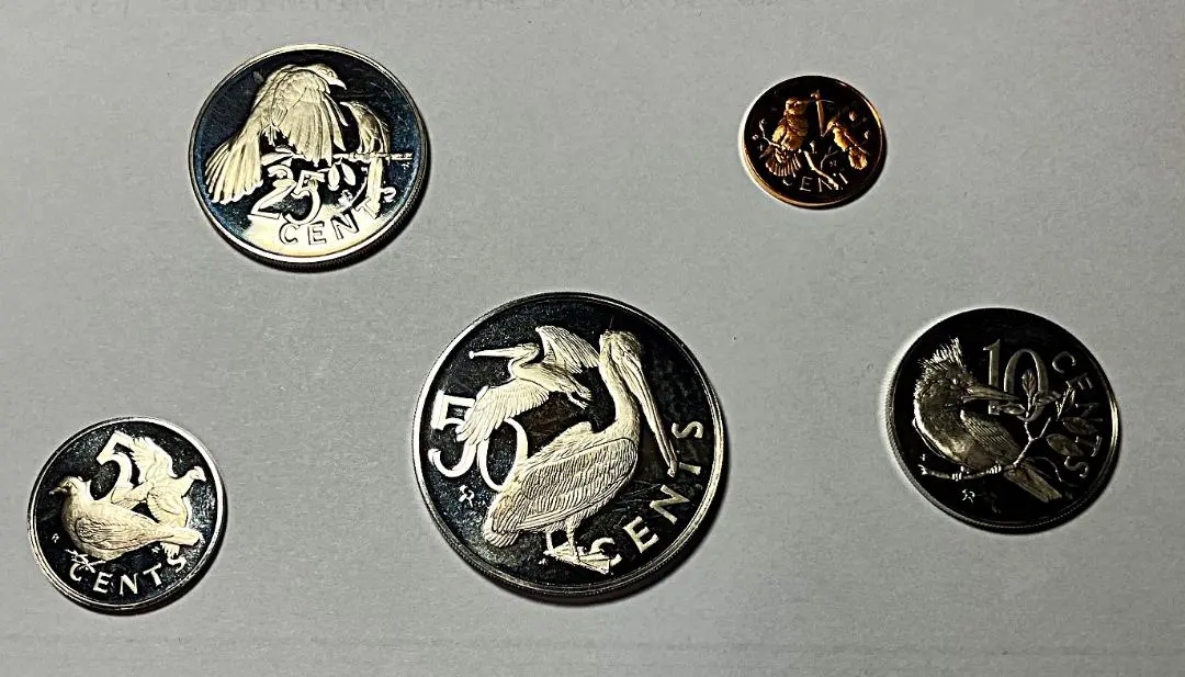 m84559853314_1.jpg?1764512267