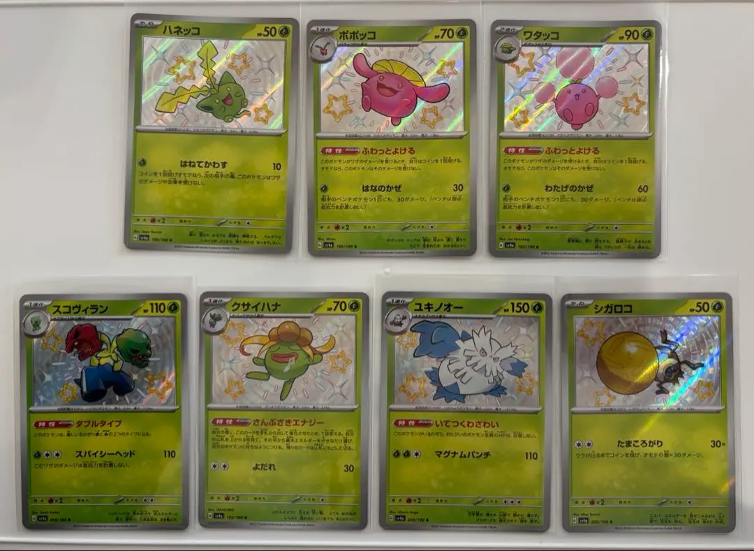 m84728850186_1.jpg?1772529036