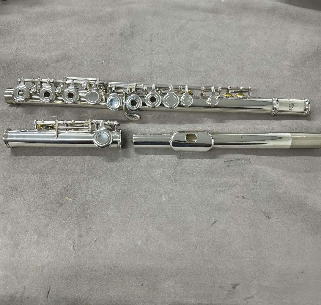 2026年最新】soleil フルートの人気アイテム - メルカリ