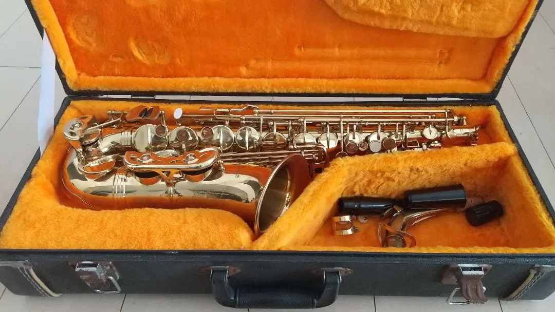 2026年最新】スプレンダー サックスの人気アイテム - メルカリ