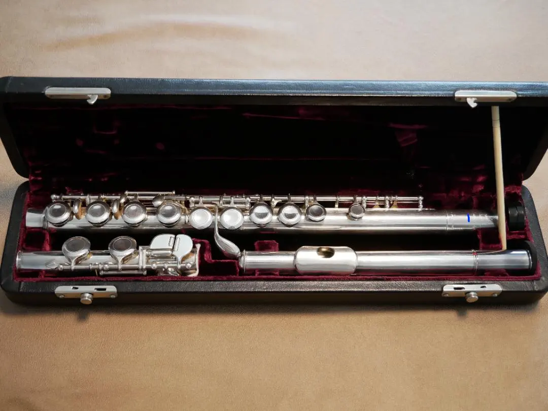 2026年最新】ルイロット フルートの人気アイテム - メルカリ