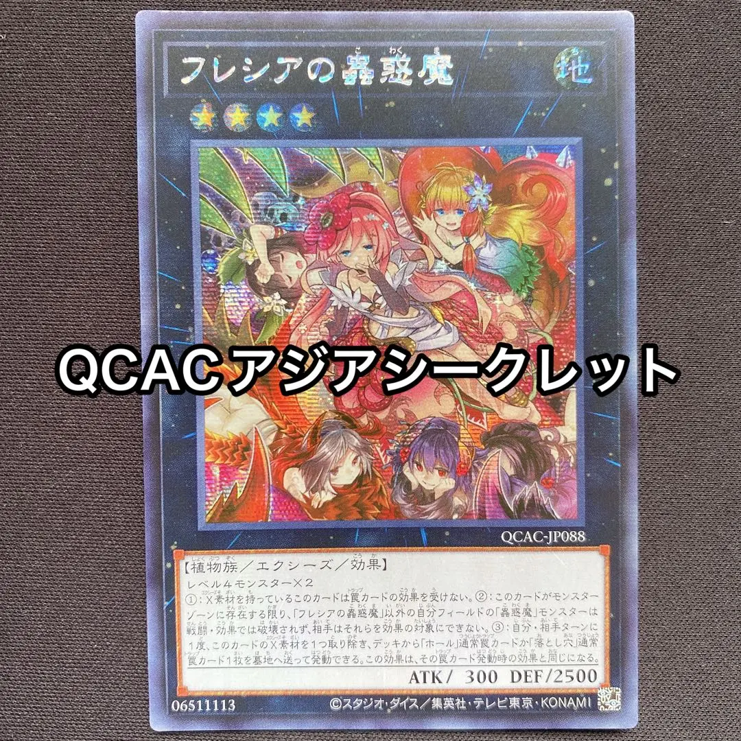 2026年最新】フレシア アジアの人気アイテム - メルカリ