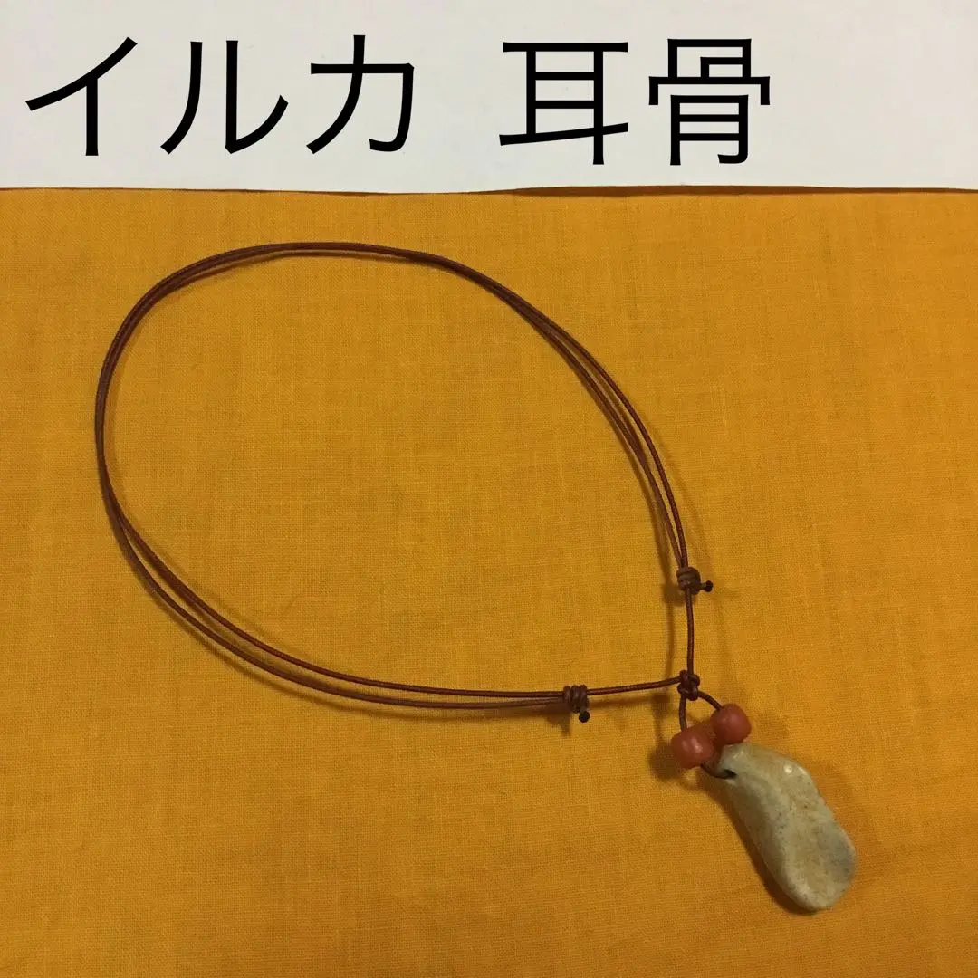 2026年最新】クジラの耳骨の人気アイテム - メルカリ