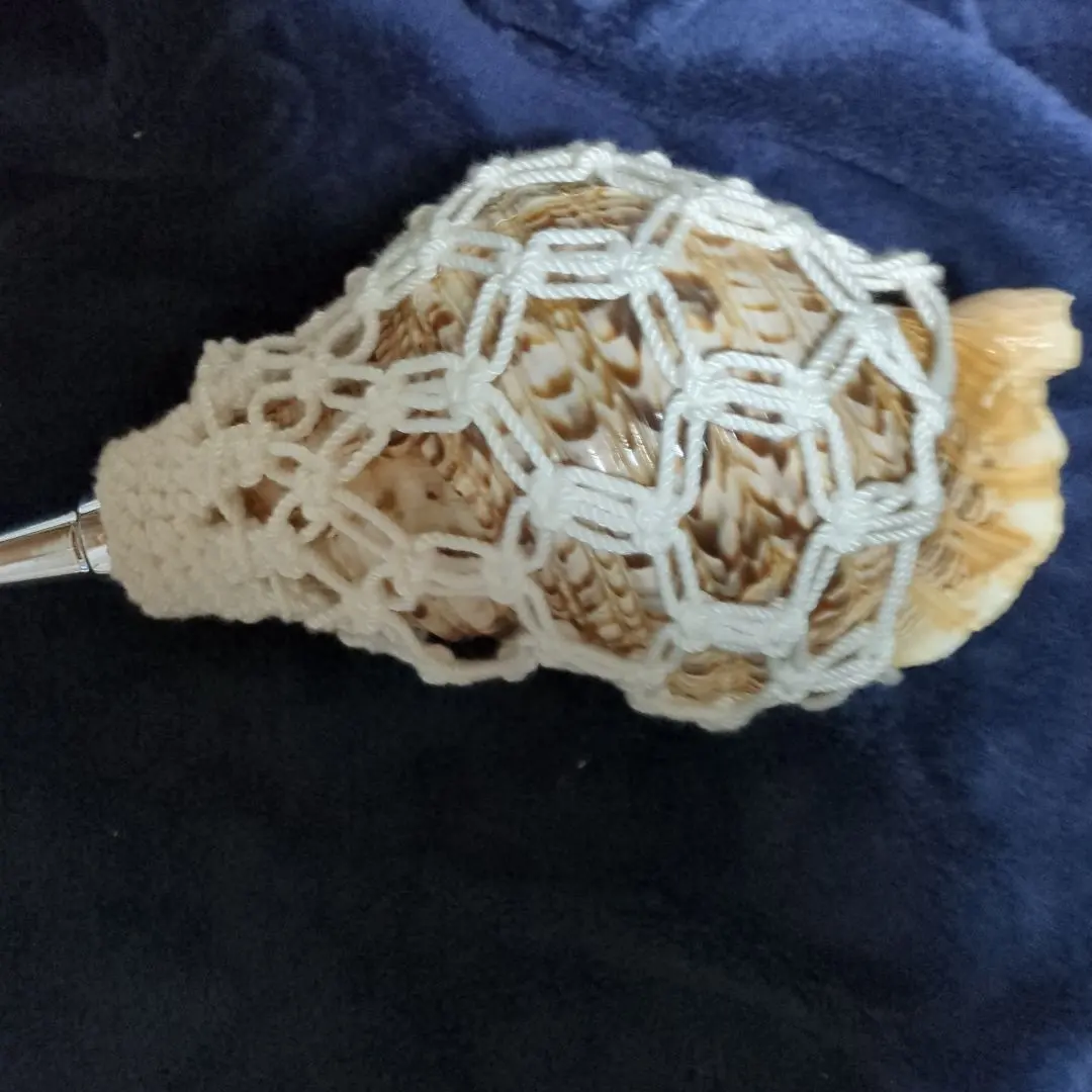 2026年最新】法螺貝 紐の人気アイテム - メルカリ