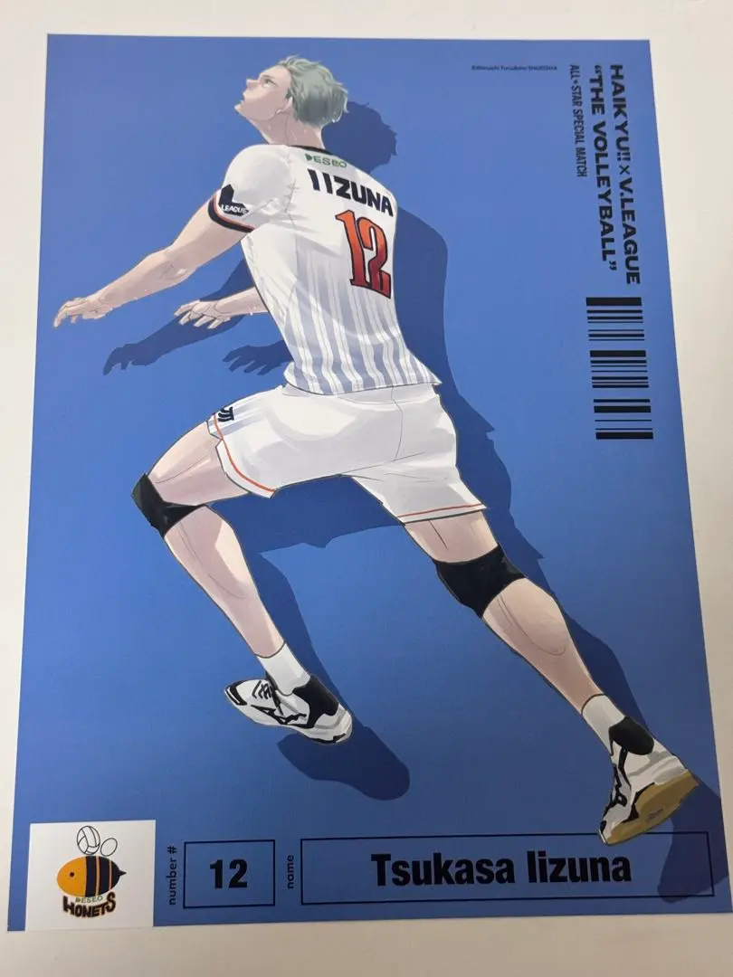 2026年最新】飯綱掌 vリーグの人気アイテム - メルカリ