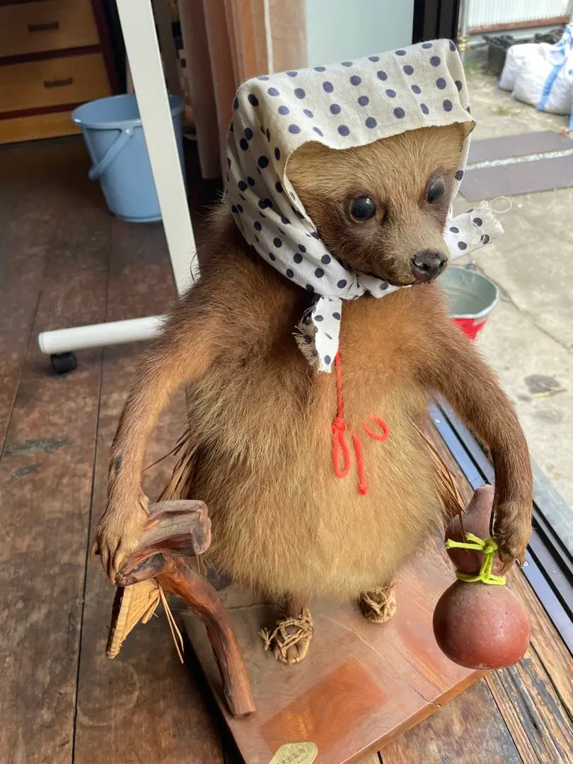 2026年最新】タヌキ 剥製の人気アイテム - メルカリ