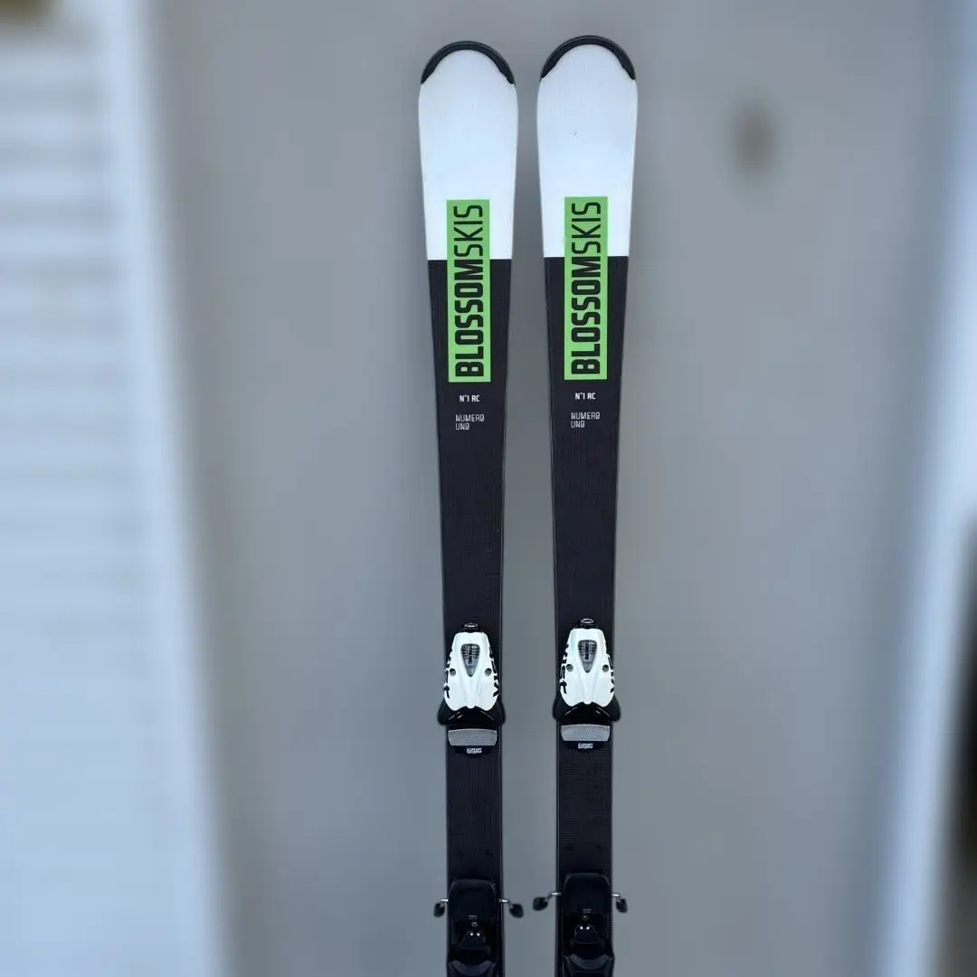 2026年最新】VIST スキーの人気アイテム - メルカリ