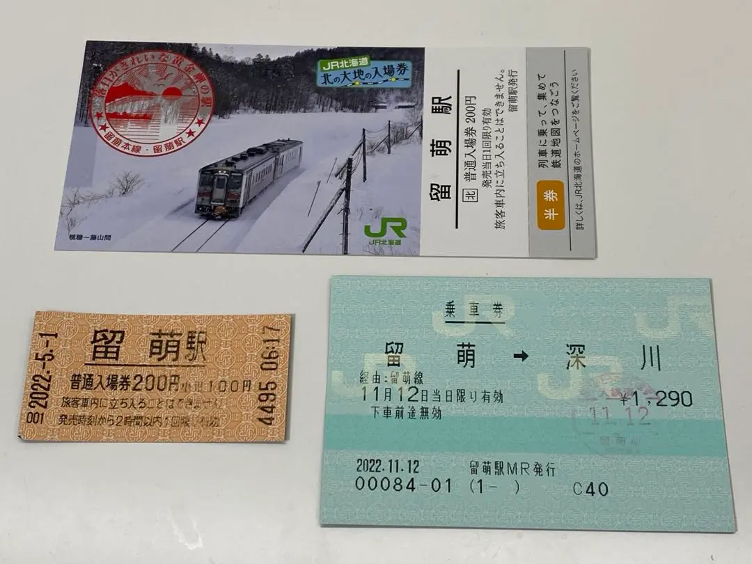 2026年最新】北の大地の入場券の人気アイテム - メルカリ
