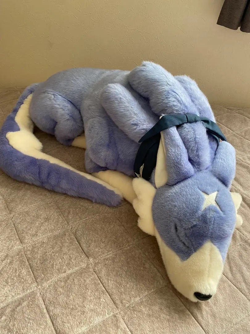 m86781525437_1.jpg?1768796782