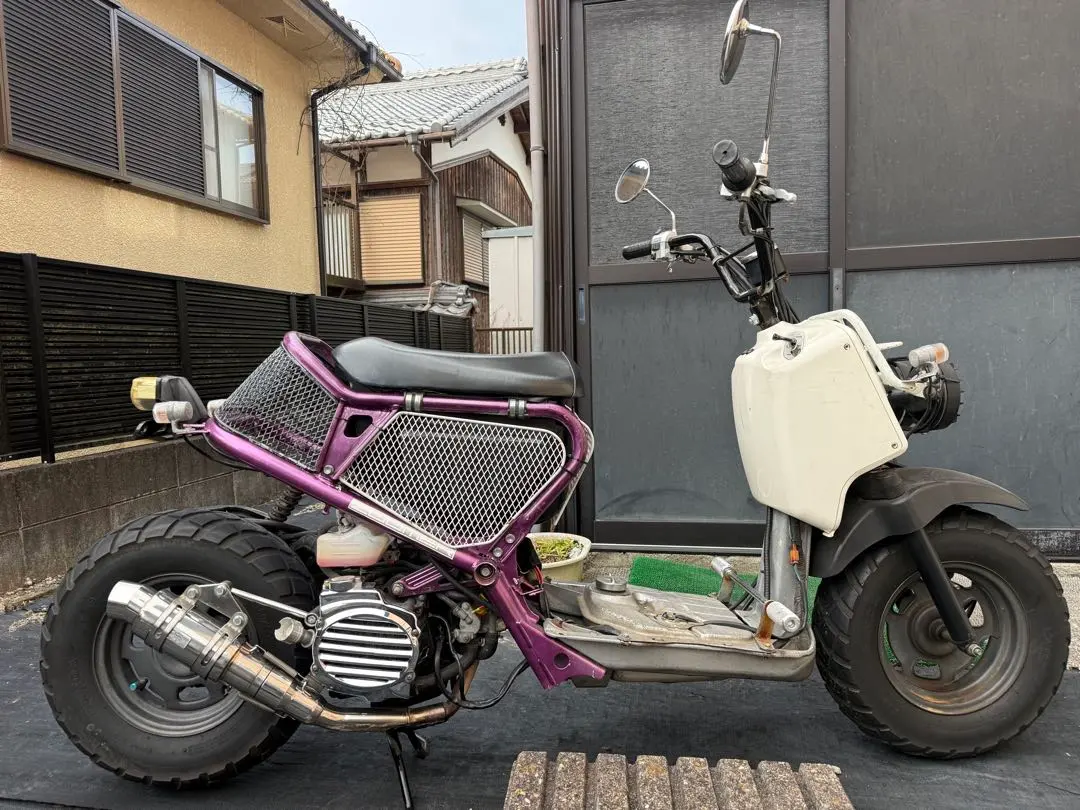 2026年最新】ズーマー ロンホイの人気アイテム - メルカリ