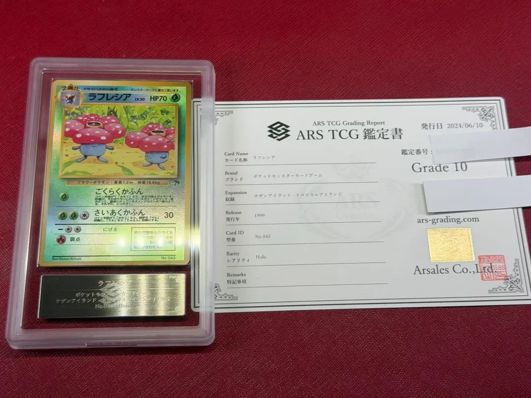 2026年最新】サザンアイランド psa10の人気アイテム - メルカリ
