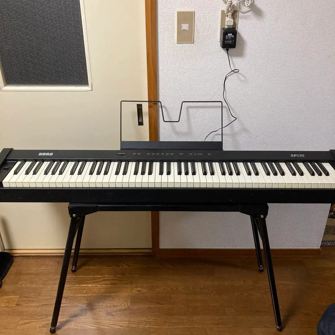2026年最新】コルグ SP-100の人気アイテム - メルカリ