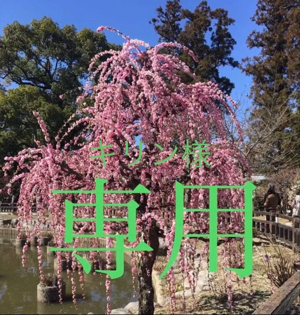 2026年最新】リチャージセンテナリアンの人気アイテム - メルカリ