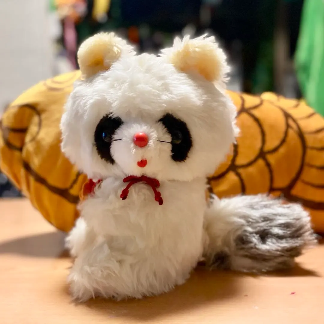 2026年最新】ファースト ぬいぐるみ アライグマの人気アイテム - メルカリ