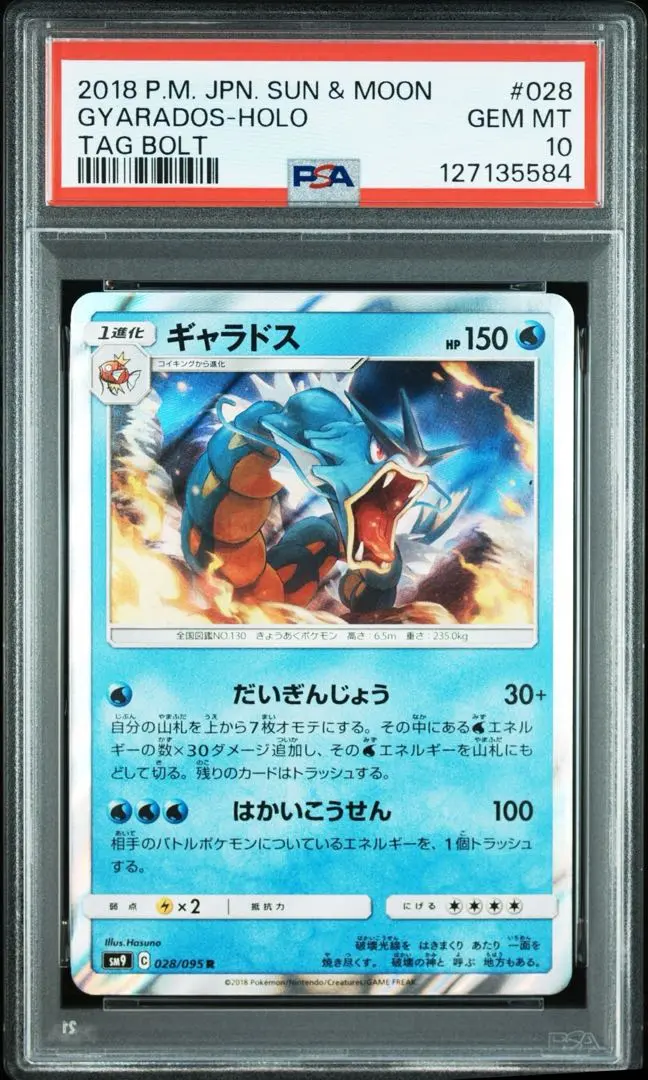 2026年最新】ギャラドスex ur psa10の人気アイテム - メルカリ