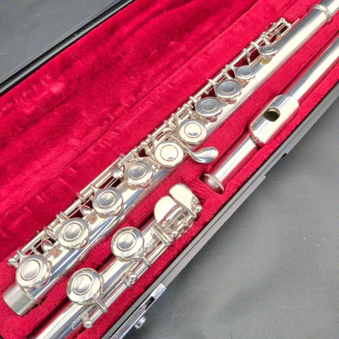 2026年最新】ニッカン フルートの人気アイテム - メルカリ