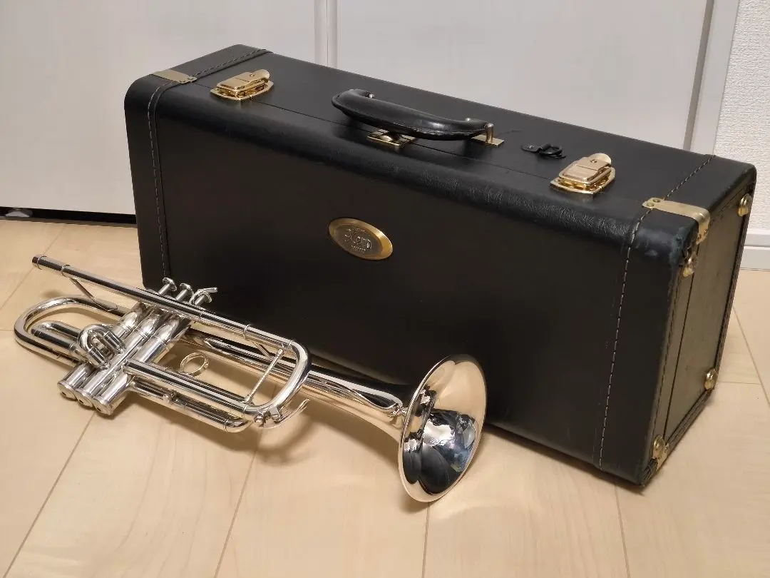 2026年最新】YAMAHA RGSの人気アイテム - メルカリ