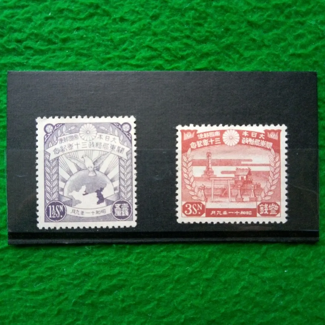 m87369975480_1.jpg?1771992151