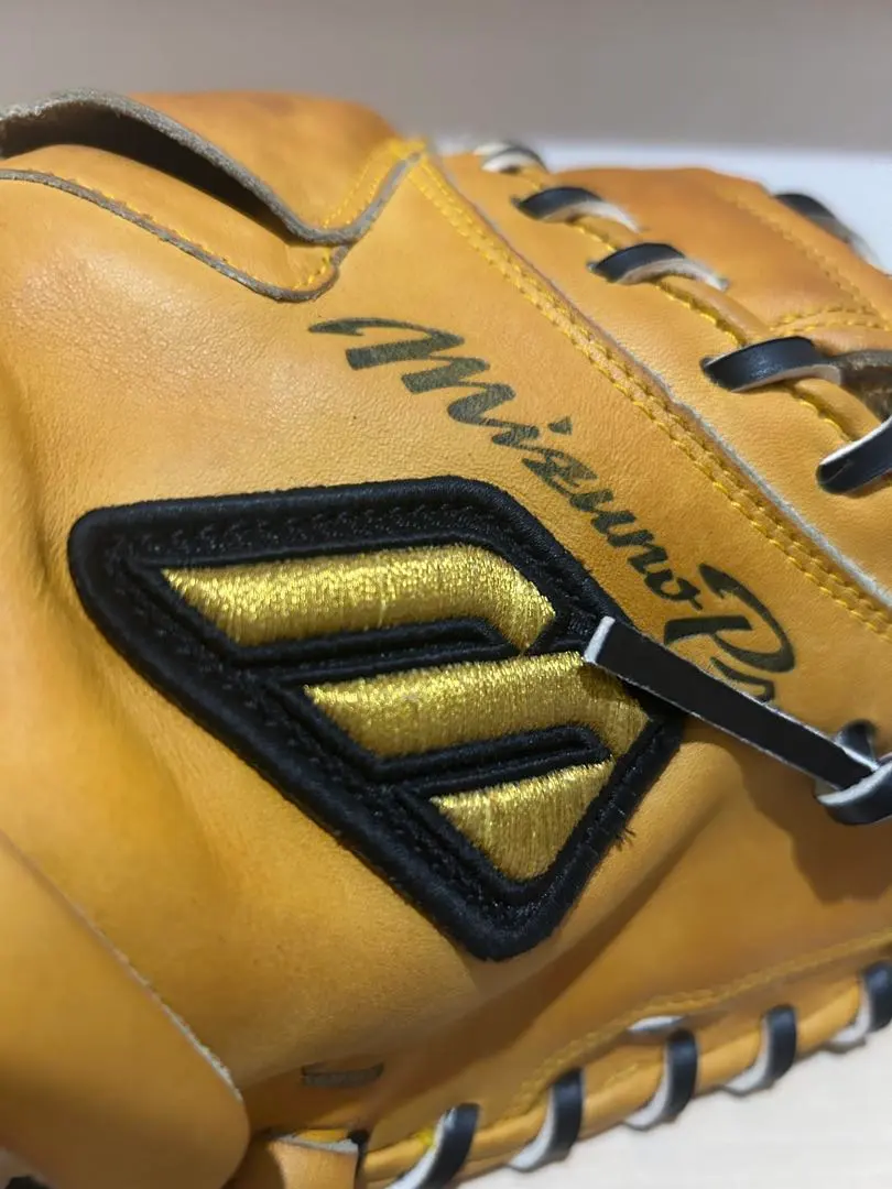 2026年最新】ノースアメリカンステアハイドの人気アイテム - メルカリ