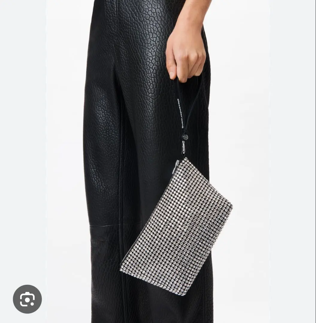 2026年最新】ALEXANDER wang バッグ ラインストーンの人気アイテム