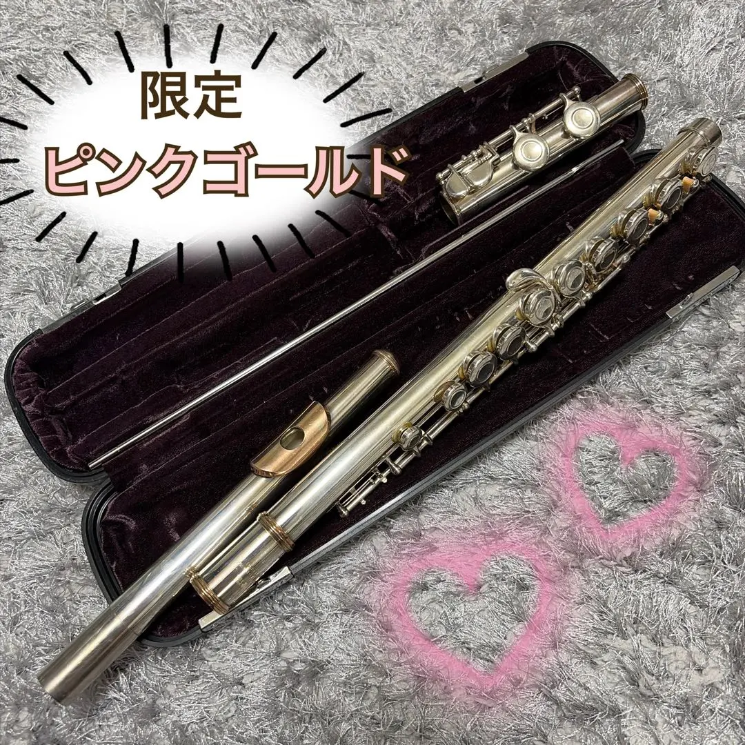 2026年最新】ピンク ゴールド フルートの人気アイテム - メルカリ