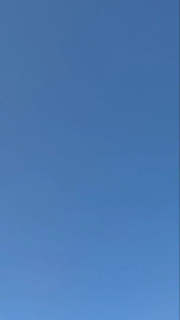 2026年最新】ウルトワ シャンプーの人気アイテム - メルカリ