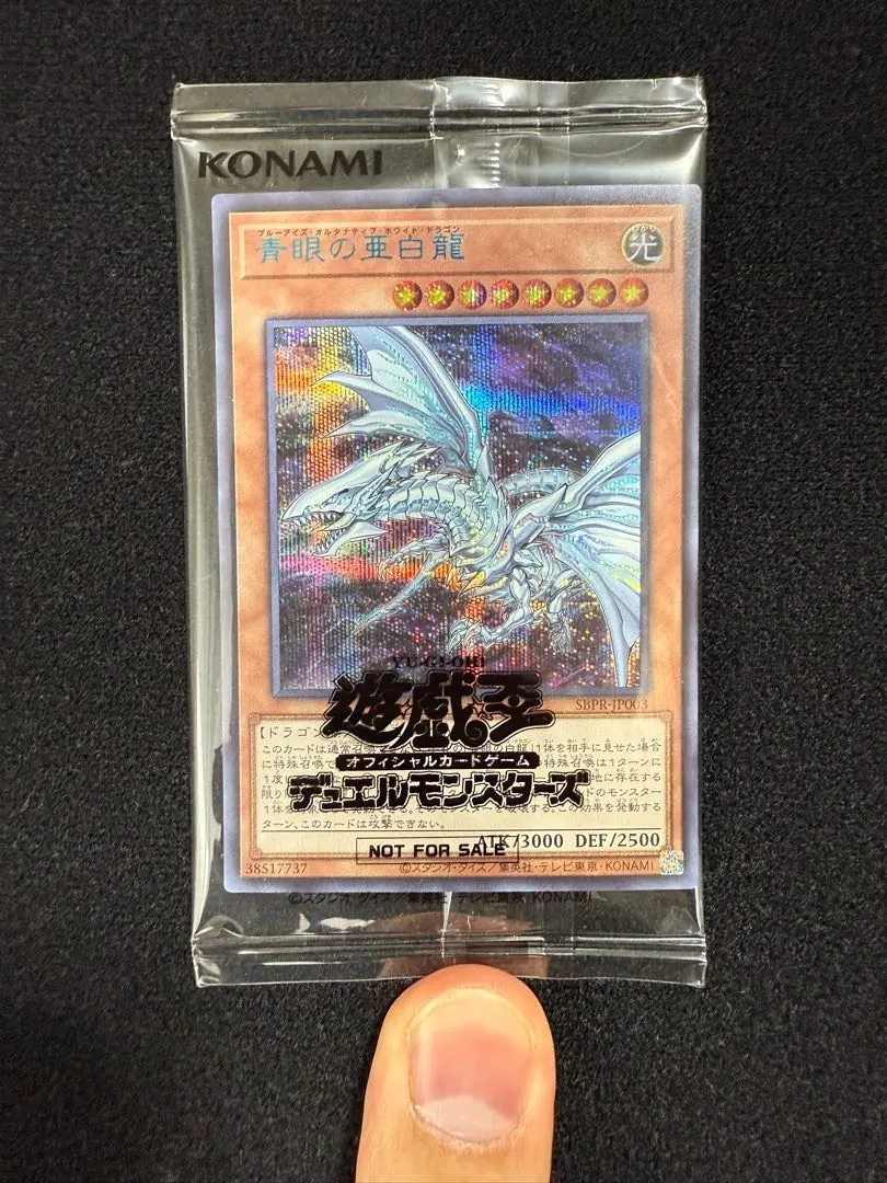 2026年最新】オルタナティブ ブルシクの人気アイテム - メルカリ