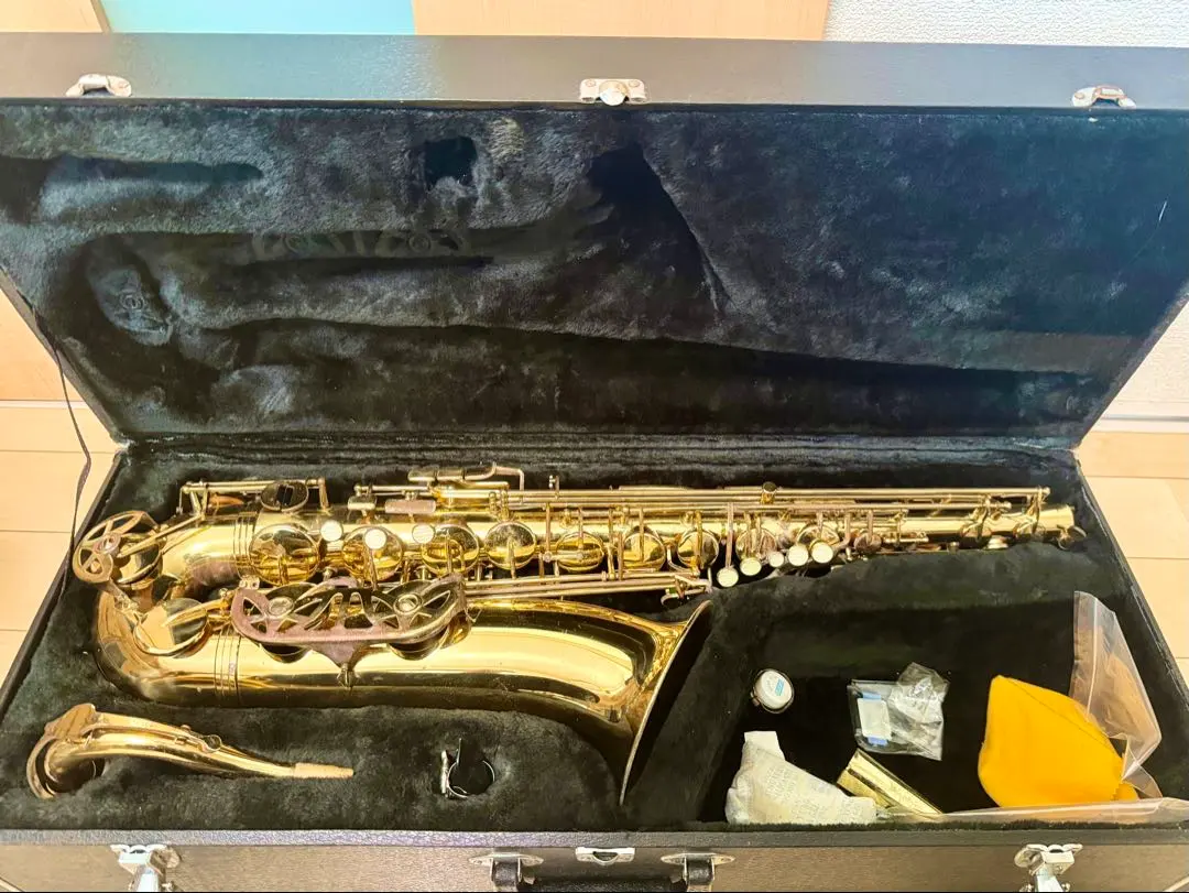 2026年最新】スプレンダー サックスの人気アイテム - メルカリ