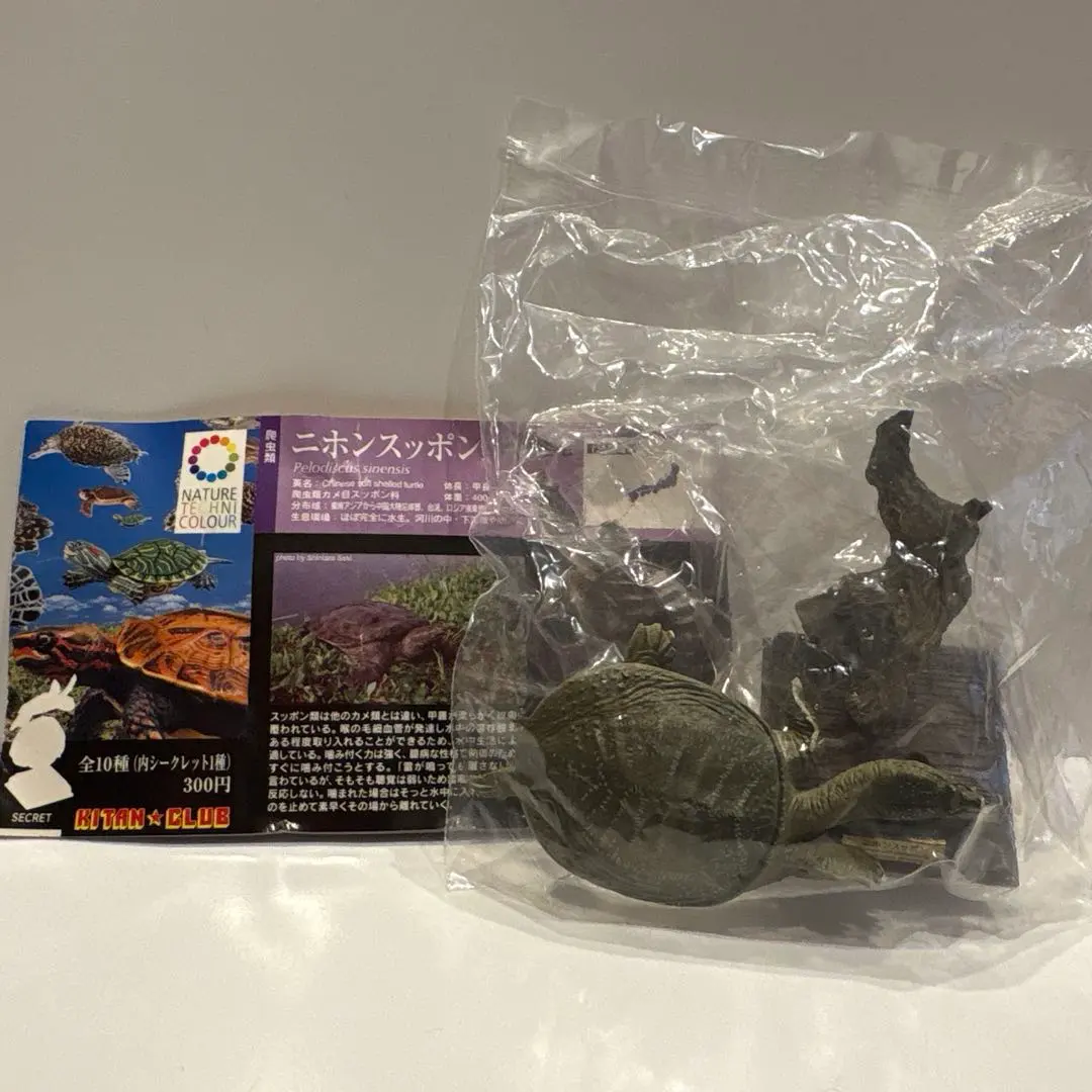 2026年最新】ニホンスッポン ネイチャーテクニカラーの人気アイテム