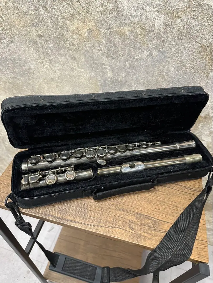 2026年最新】KAERNTNER ケルントナー フルートの人気アイテム - メルカリ