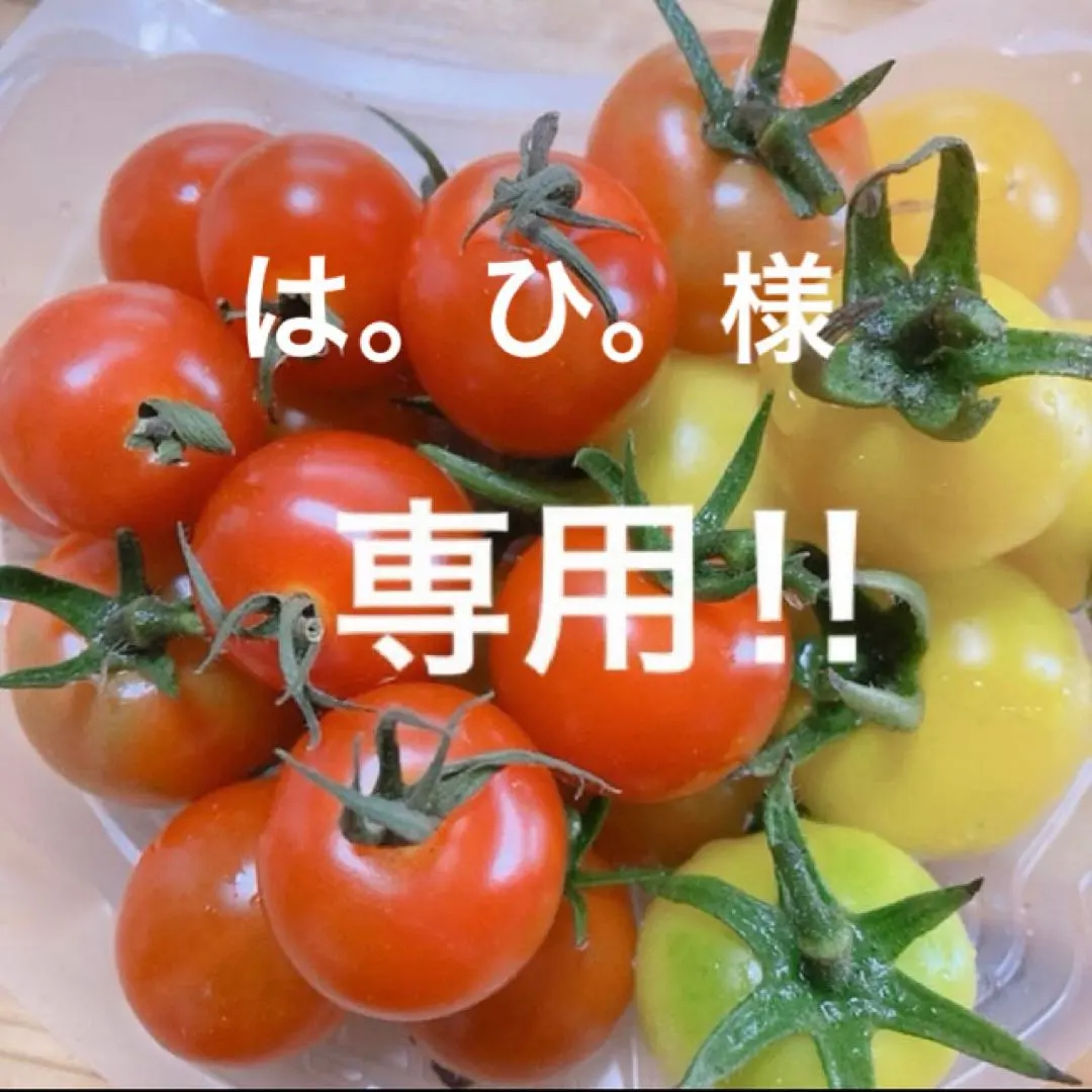 2026年最新】ヒュッゲ ドテラの人気アイテム - メルカリ