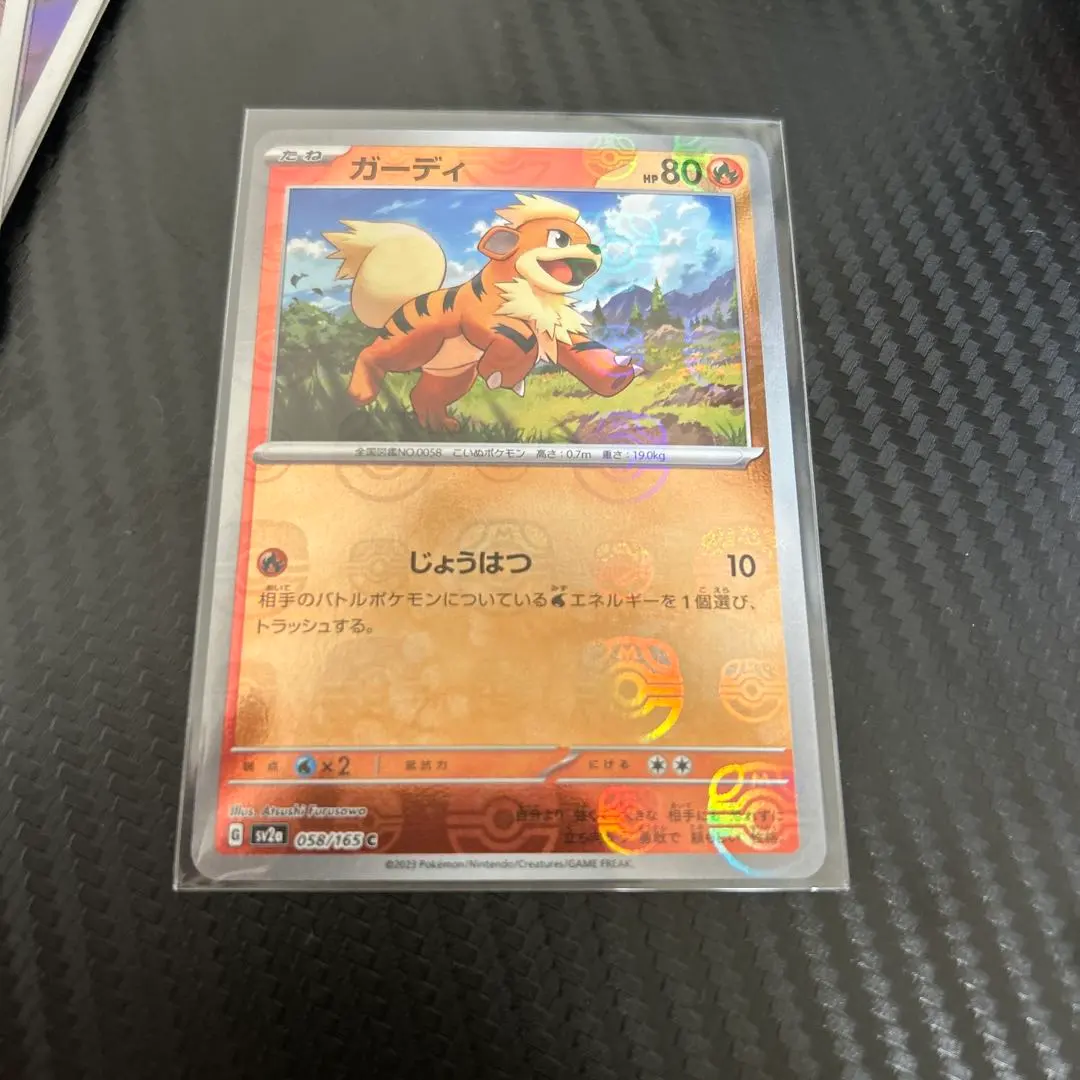 2026年最新】ガーディ マスターボールの人気アイテム - メルカリ