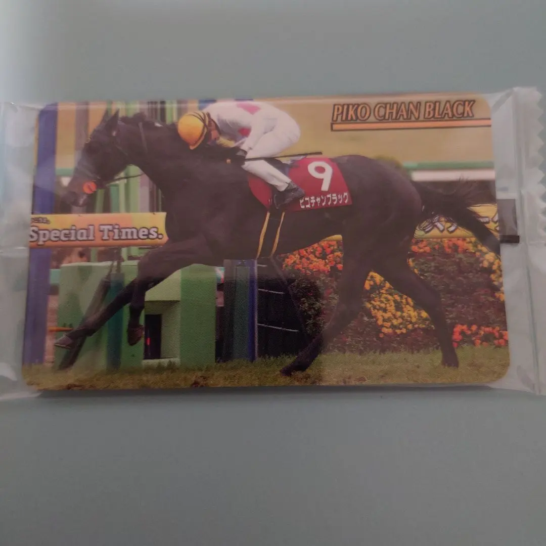 2026年最新】石橋脩の人気アイテム - メルカリ