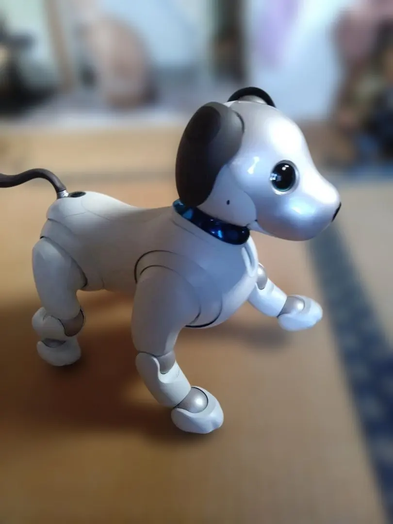 2026年最新】SONY 性別：男女兼用 その他の人気アイテム - メルカリ