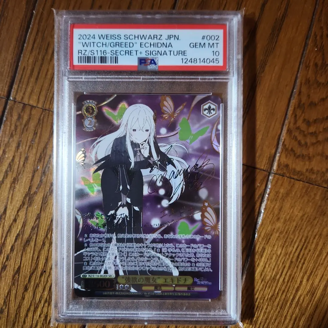 2026年最新】エキドナ sec psa10の人気アイテム - メルカリ