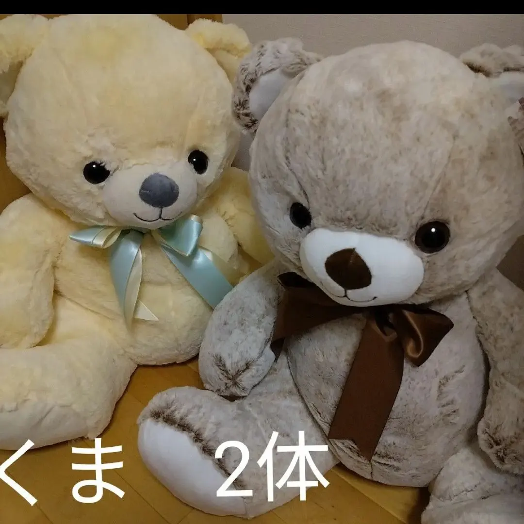 2026年最新】マイキュートベアの人気アイテム - メルカリ