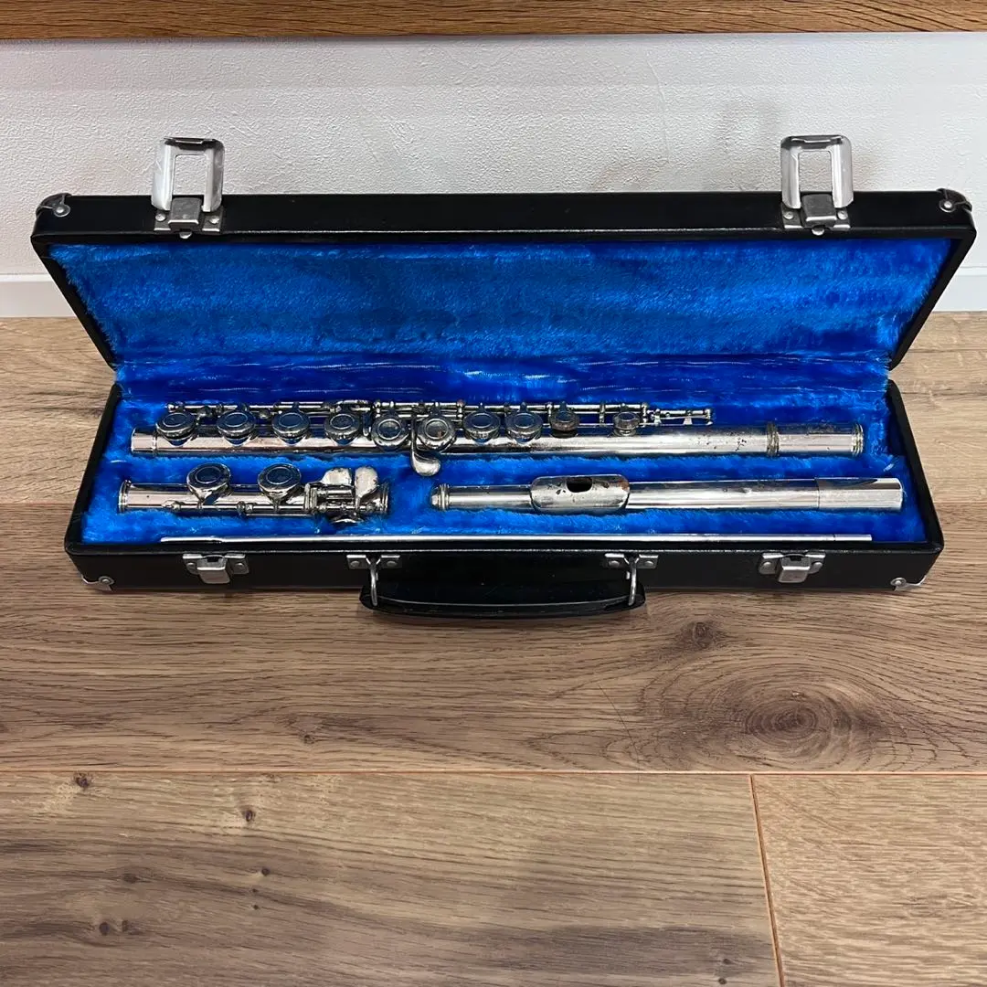 2026年最新】スプレンダー フルートの人気アイテム - メルカリ