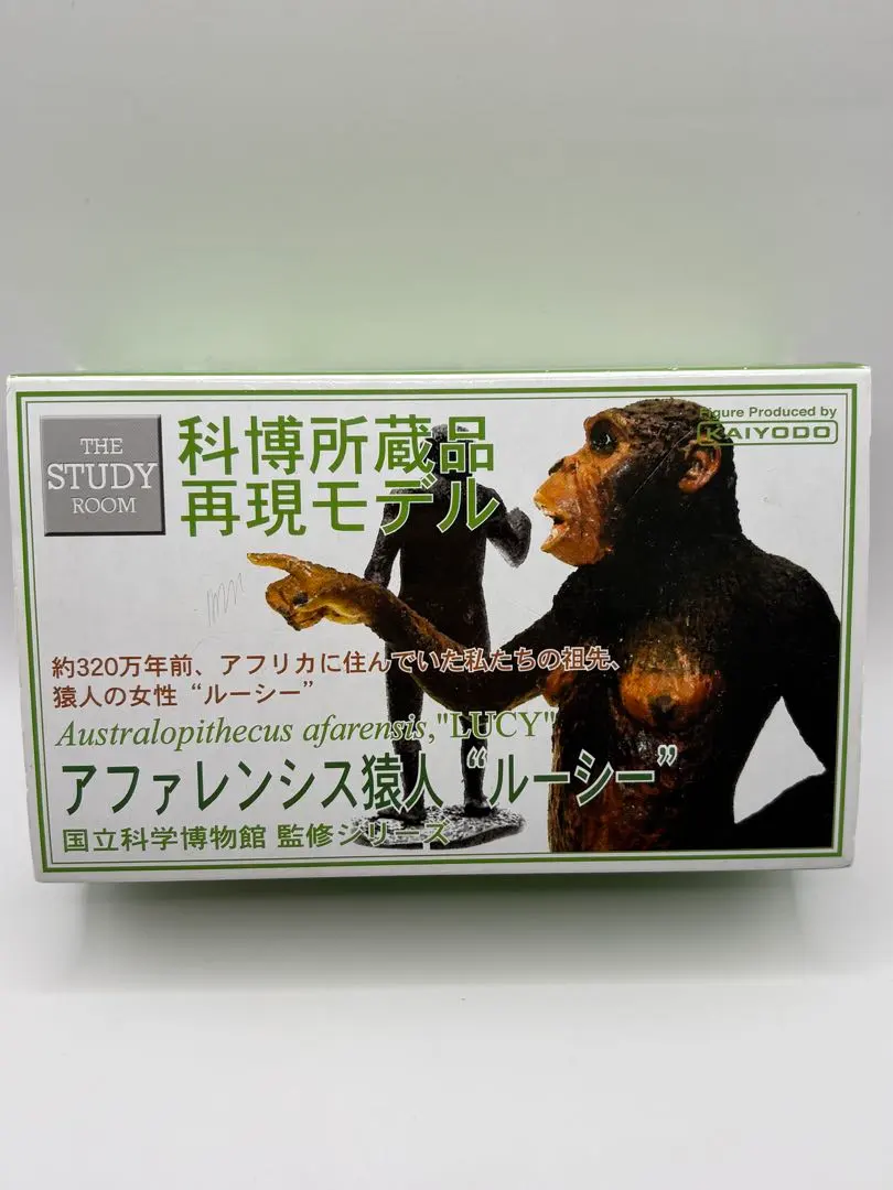 2026年最新】科博所蔵品 再現モデルの人気アイテム - メルカリ