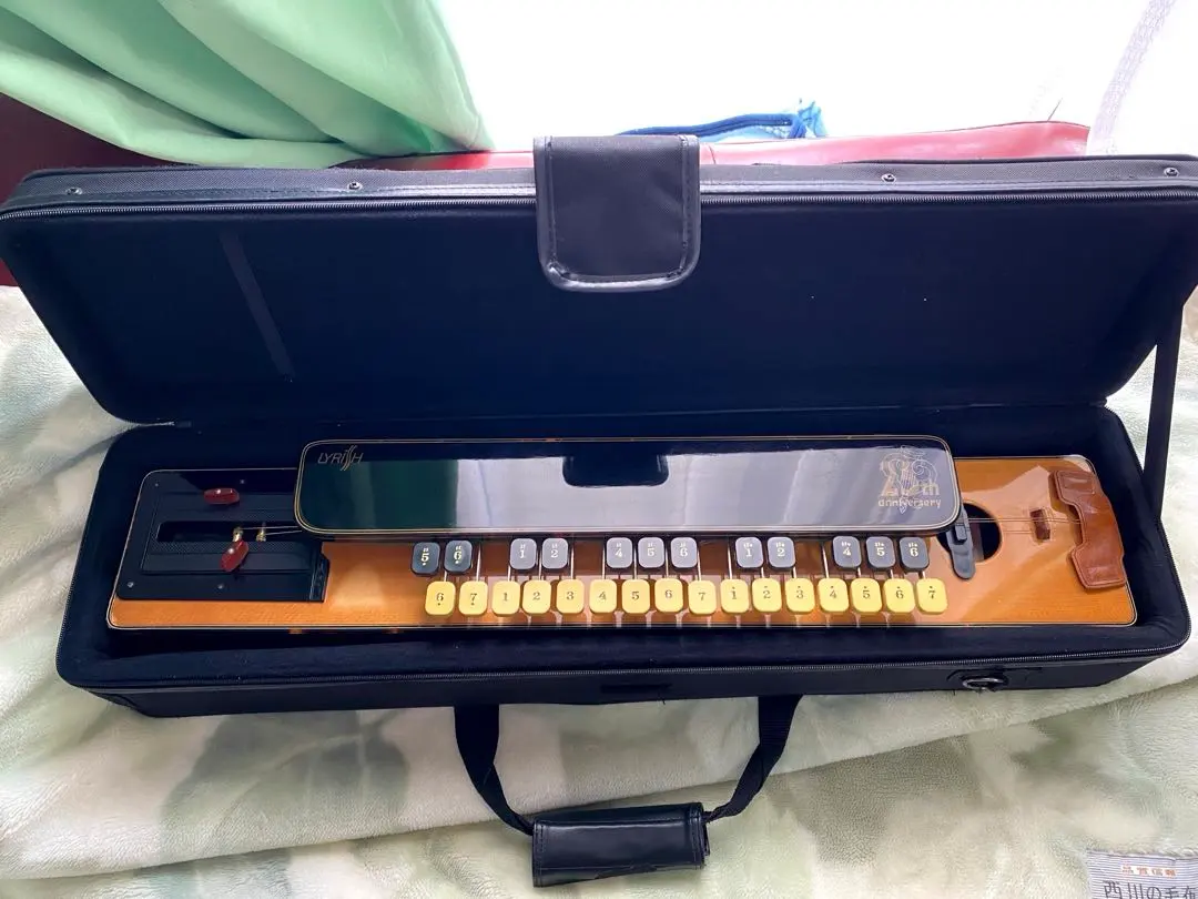 2026年最新】ライリッシュ大正琴の人気アイテム - メルカリ