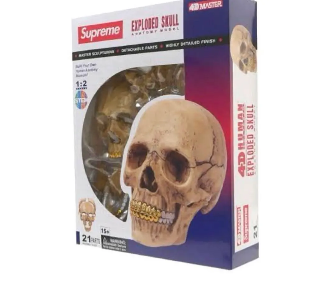 2026年最新】Supreme 4D Model Human Skullの人気アイテム - メルカリ