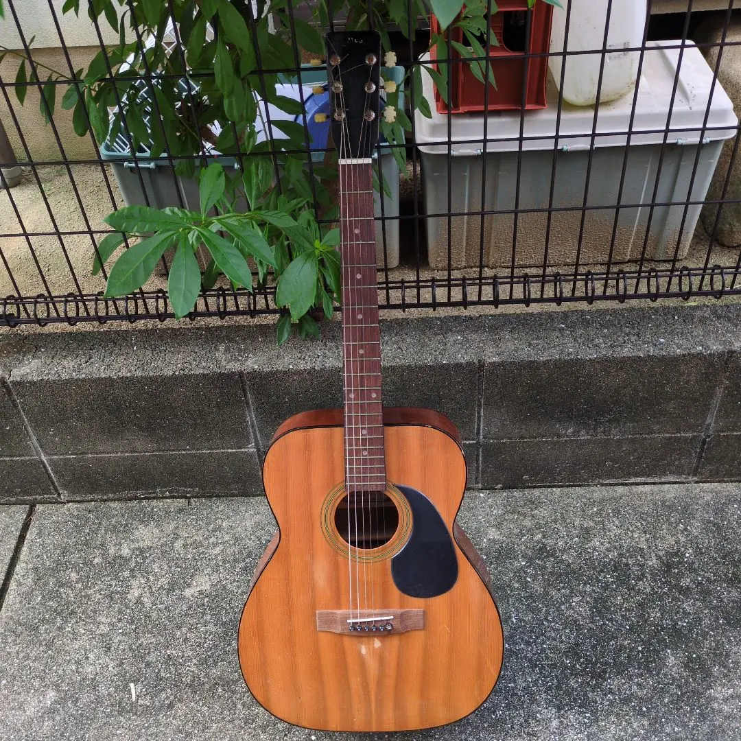2026年最新】hotta アコースティックギターの人気アイテム - メルカリ