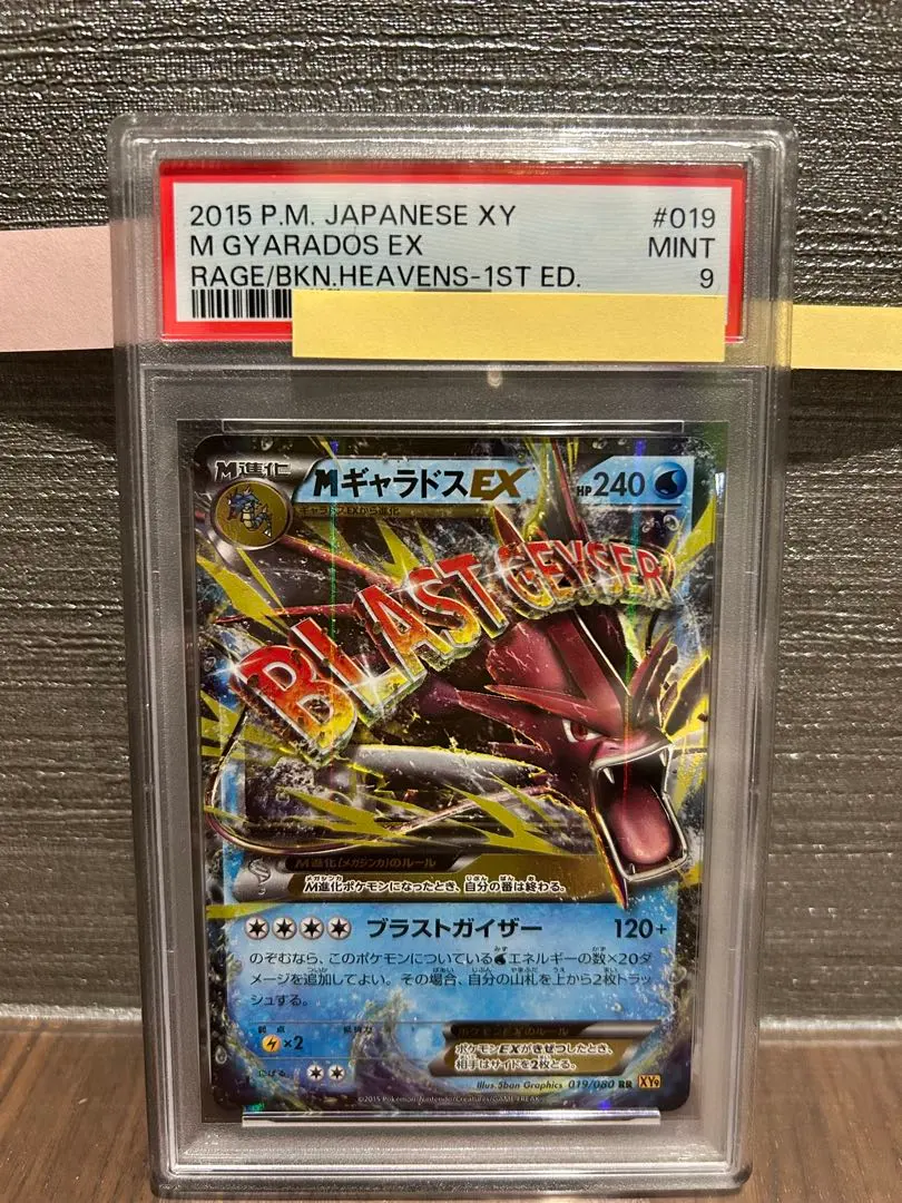 2026年最新】ギャラドスex psa9の人気アイテム - メルカリ