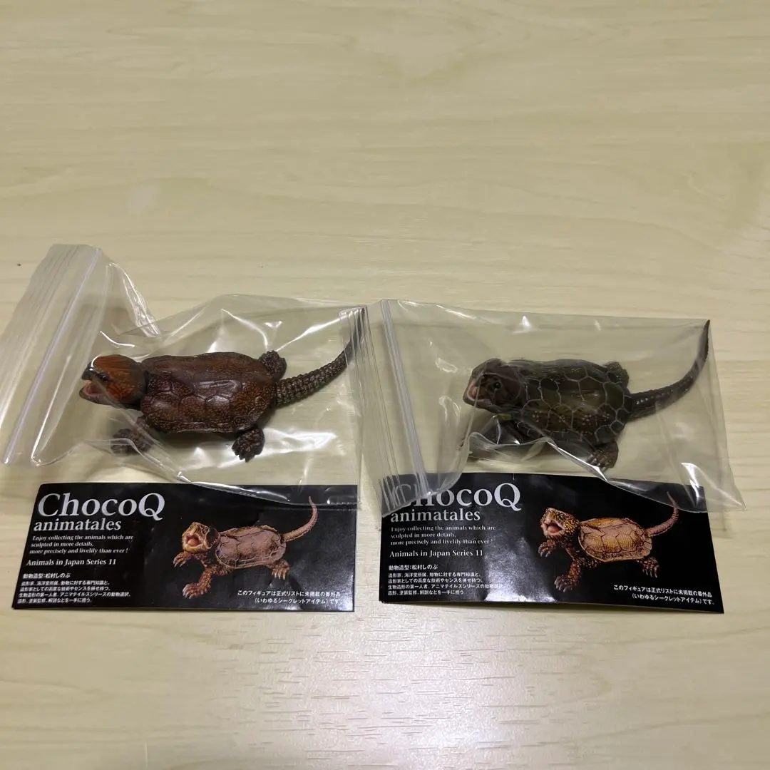 2026年最新】オオアタマガメの人気アイテム - メルカリ