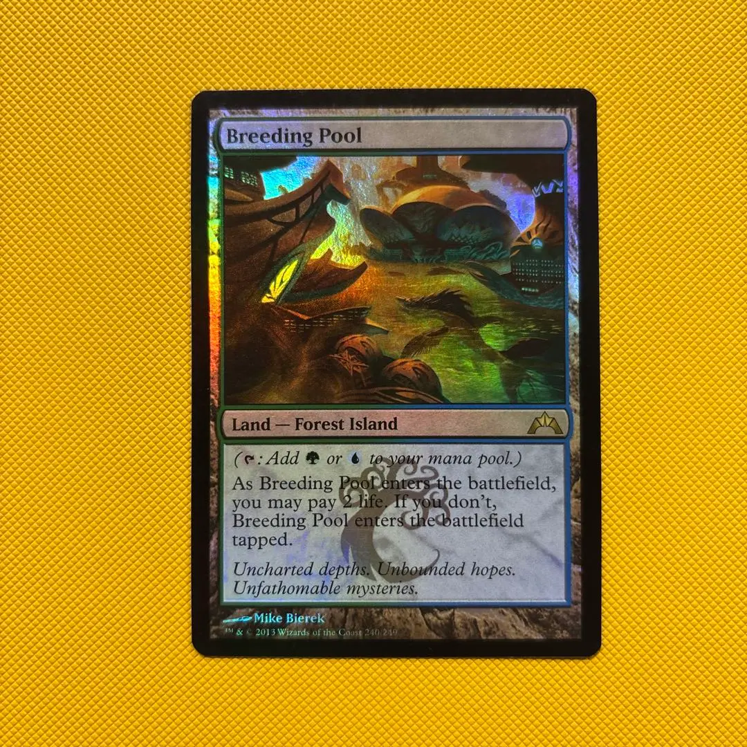 2026年最新】繁殖池 foilの人気アイテム - メルカリ