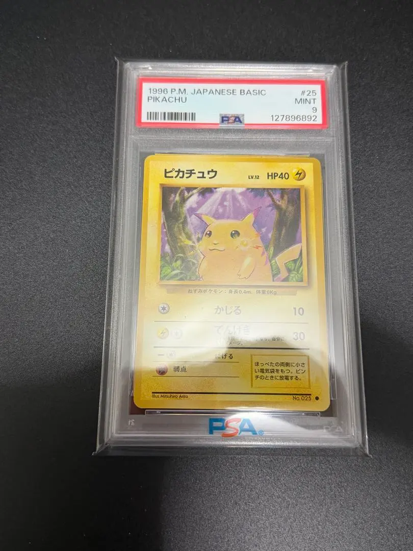 2026年最新】ポケパークのピカチュウ psa9の人気アイテム - メルカリ