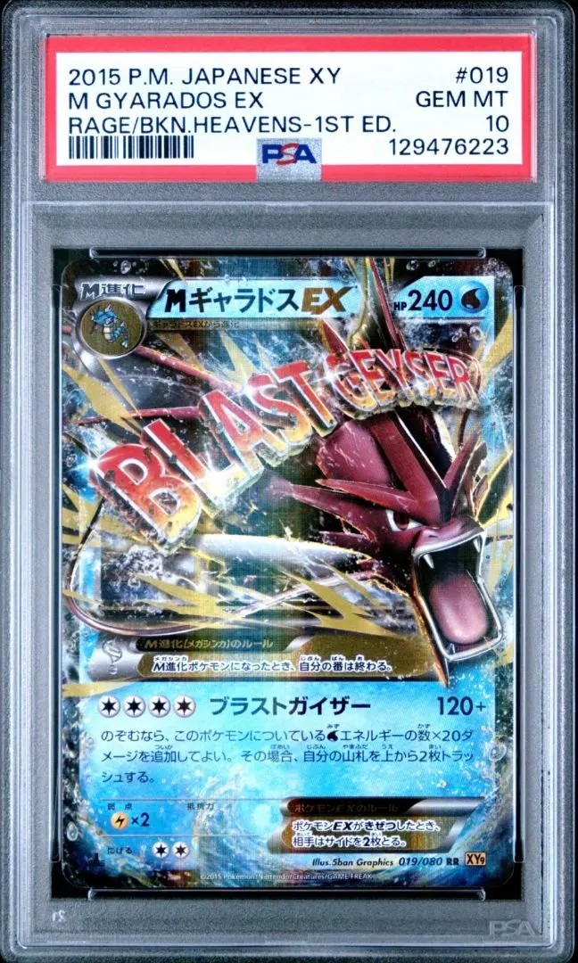 2026年最新】MギャラドスEXの人気アイテム - メルカリ