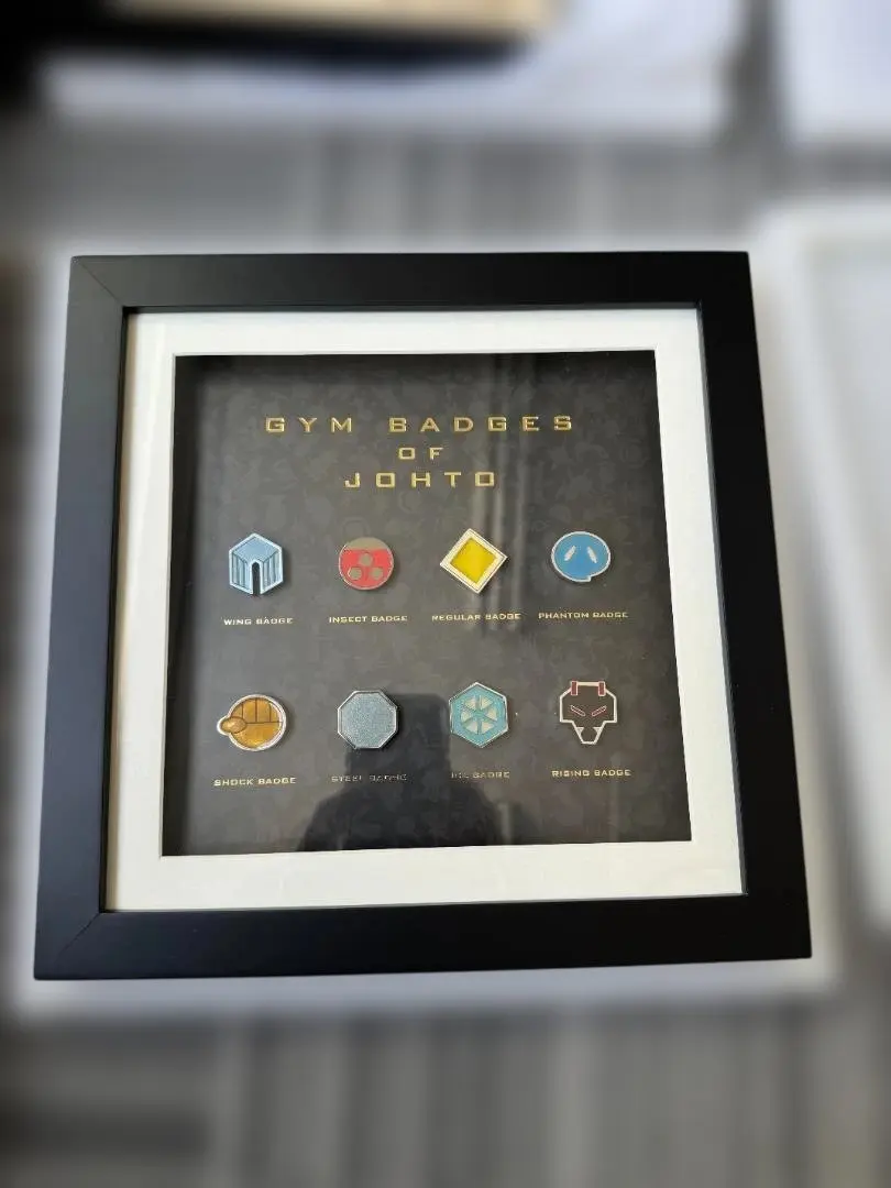 2026年最新】ジムバッジコレクションコンプリートセットの人気アイテム