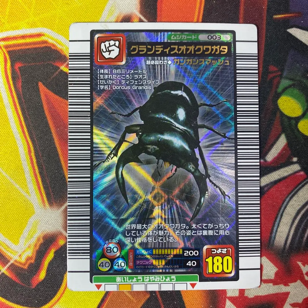 2026年最新】003グランディスオオクワガタの人気アイテム - メルカリ